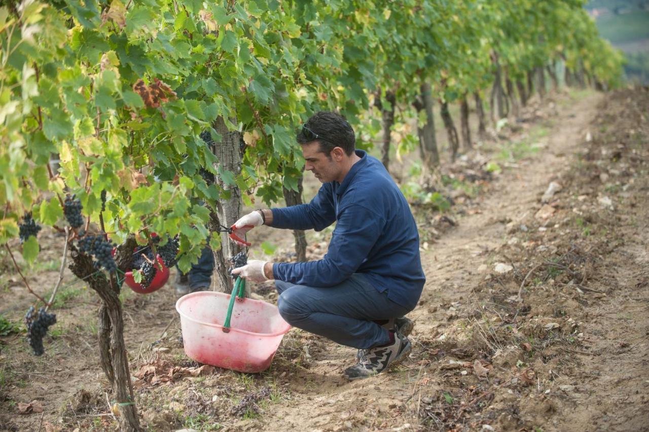 La Valletta Boutique Wine Estate 潘札诺 外观 照片